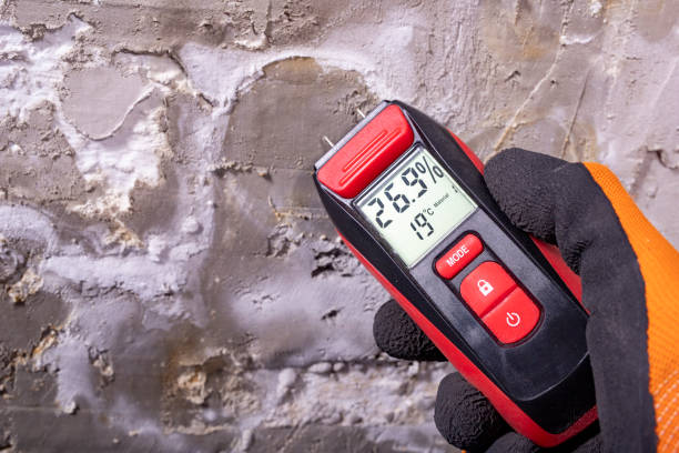 Trusted Oakland, OR Mold Removal Experts