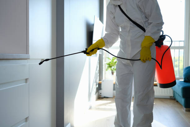 Best Commercial Mold Removal  in Oakland, OR