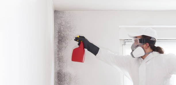 Best Professional Mold Removal  in Oakland, OR