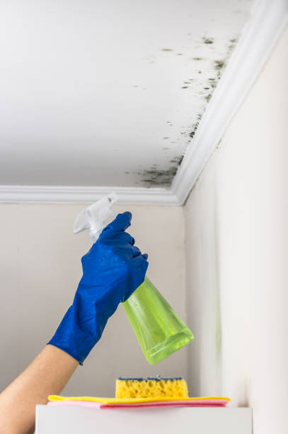 Best Crawl Space Mold Removal  in Oakland, OR
